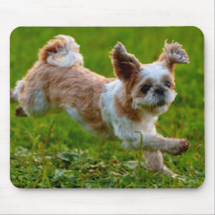 Tapis De Souris Photo mignonne tournant Chien Shih Tzu