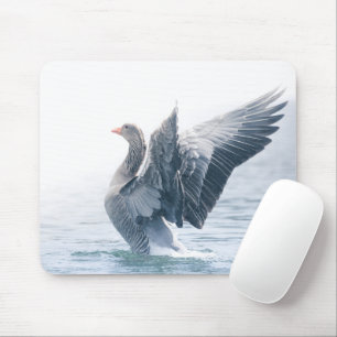 Tapis De Souris Photo nature de Greylag