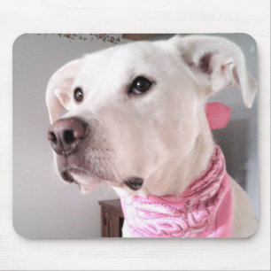 Tapis De Souris Photo of Cute White Puppy Dog Wearing Pink Scarf