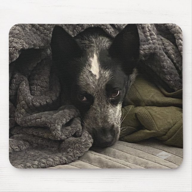 Tapis De Souris Photo Pad Souris - HAMbyWG (Devant)