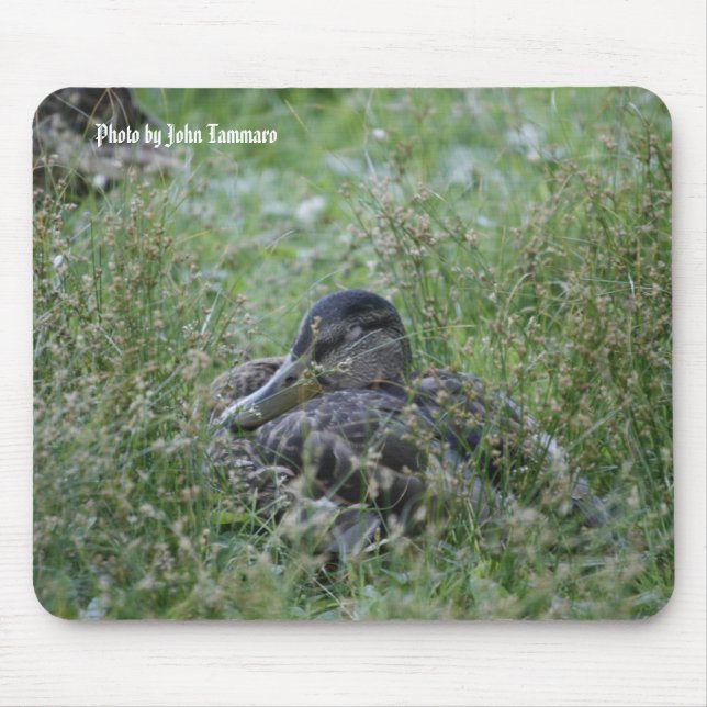 Tapis De Souris Photo par John Tammaro (Devant)