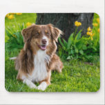 Tapis De Souris Photo personnalisée<br><div class="desc">Panier photo personnalisé</div>