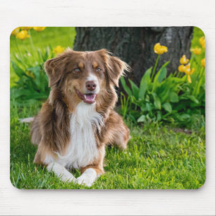 Tapis De Souris Photo personnalisée