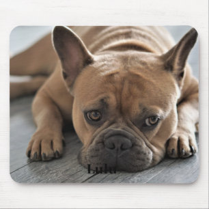 Tapis De Souris Photo personnalisée de chien