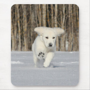 Tapis De Souris Photo Polar Puppy