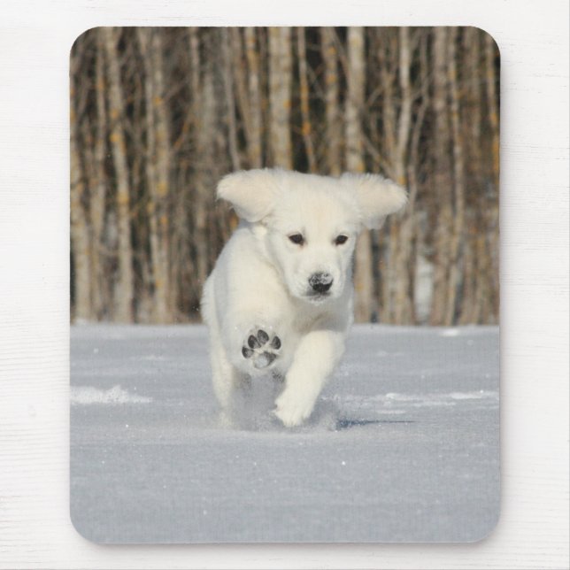 Tapis De Souris Photo Polar Puppy (Devant)