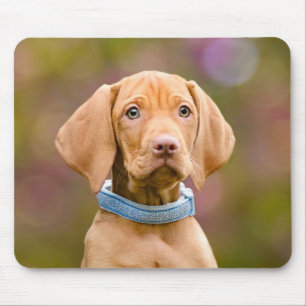 Tapis De Souris Photo puppyeyed mignonne de chiot de chien de
