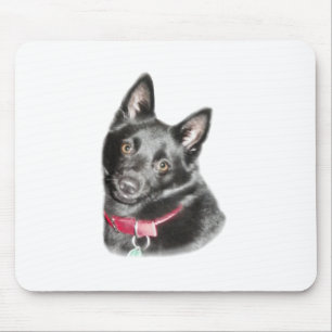 Tapis De Souris Photo Schipperke