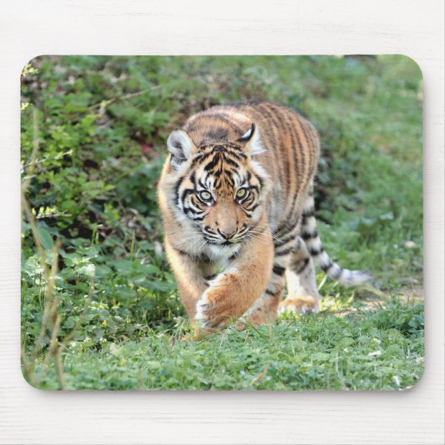 Tapis De Souris photo tiger chat animaux. pavé souris (Devant)