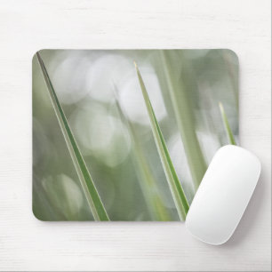 Tapis De Souris Photo vert pointu Plante Nature