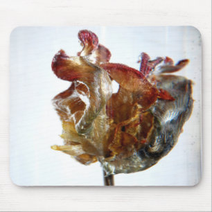Tapis De Souris Photographie 2013 de la tulipe 4 de l'eau