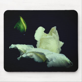 Tapis De Souris Photographie à fleurs de Rosebud blanc