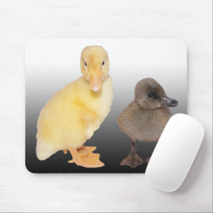 Tapis De Souris Photographie adorable de canetons