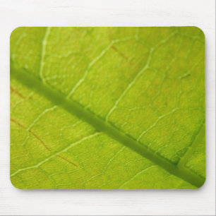 Tapis De Souris Photographie botanique de la nature à feuille vert