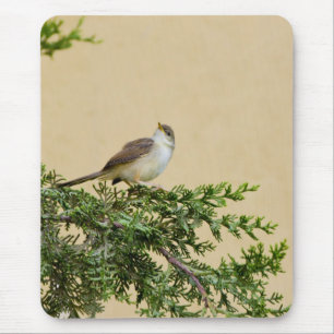 Tapis De Souris Photographie charmante d'un oiseau moineau