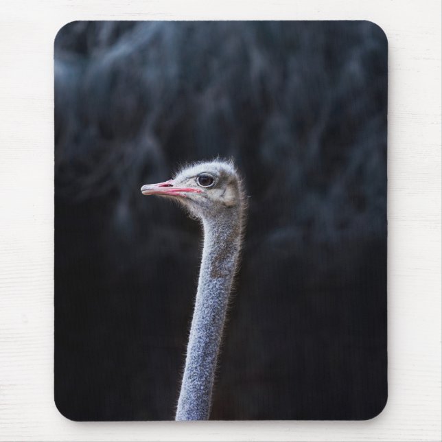 Tapis De Souris Photographie d'autruche (Devant)