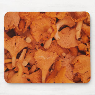 Tapis De Souris Photographie de Chanterelles Fraîches