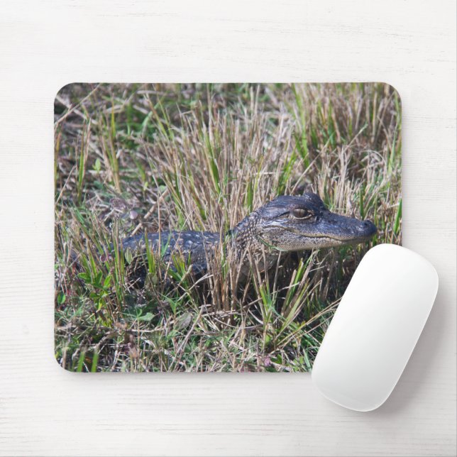 Tapis De Souris Photographie de faune et flore de bébé alligator (Avec souris)