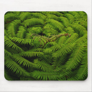 Tapis De Souris Photographie de Fern Fine Art