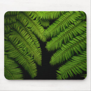 Tapis De Souris Photographie de Fern Fine Art