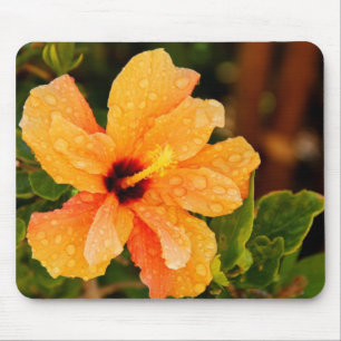 Tapis De Souris Photographie de fleur d'Hibiscus