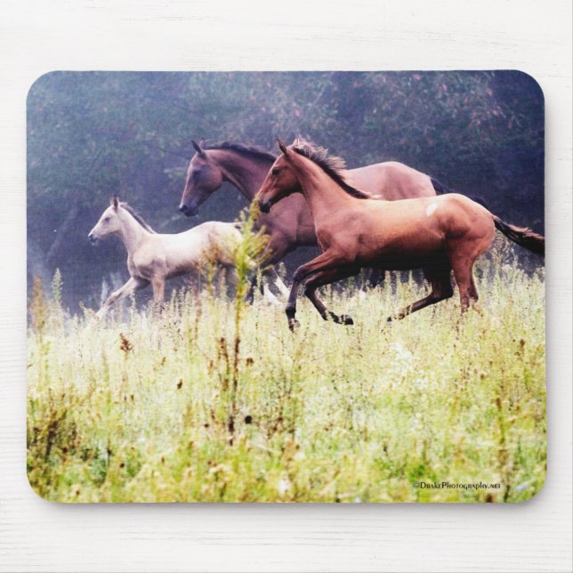 Tapis De Souris Photographie de Galloping Horses (Devant)