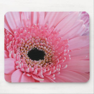 Tapis De Souris Photographie de gerbera rose frais