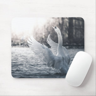 Tapis De Souris Photographie de la nature du cygne blanc