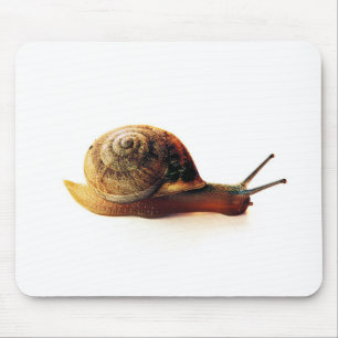 Tapis De Souris Photographie de la nature d'un escargot de jardin