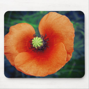 Tapis De Souris Photographie de Macro Poppy sauvage Mousepad