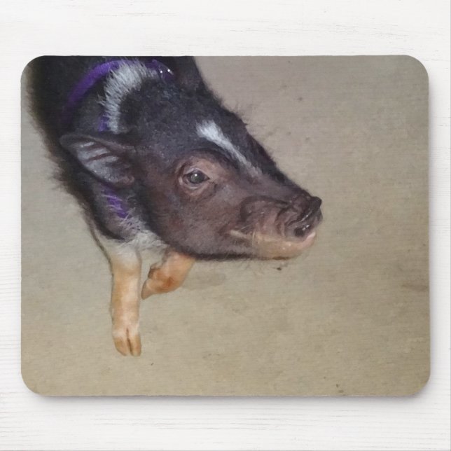 Tapis De Souris Photographie de porc gonflée par pot drôle (Devant)