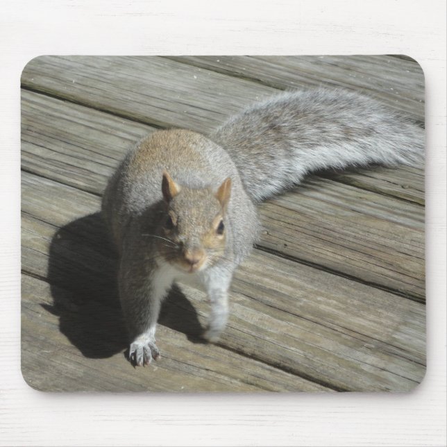 Tapis De Souris Photographie d'écureuil (Devant)