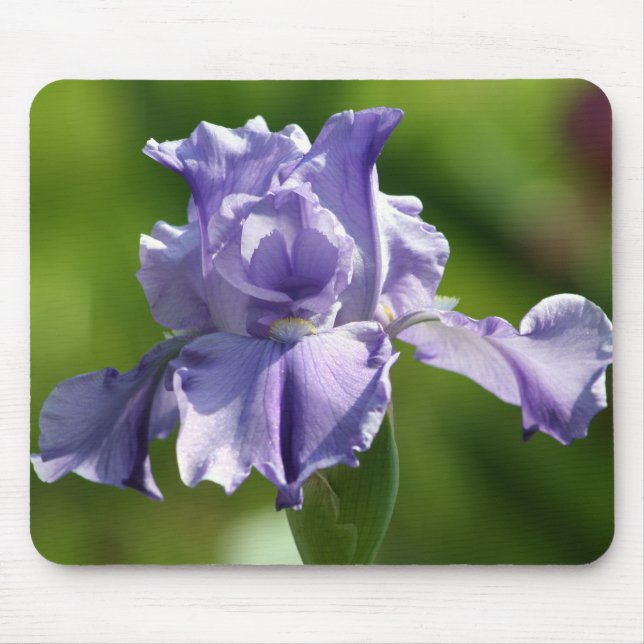 Tapis De Souris Photographie d'iris "de bleus de printemps" (Devant)