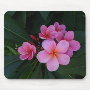 Tapis De Souris Photographie florale