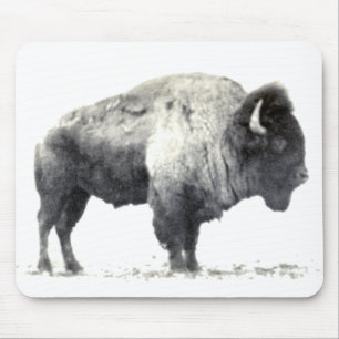 Tapis De Souris Photographie historique du bison américain