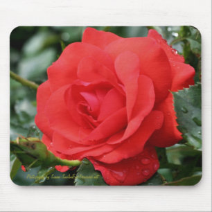 Tapis De Souris Photographie Mousepad de fleur de rose rouge