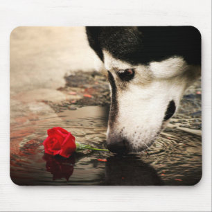 Tapis De Souris Photographie Mousepad de rose enroué et rouge