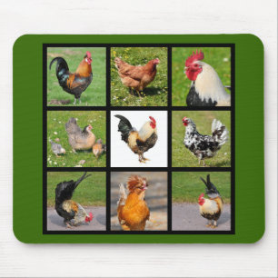 Tapis De Souris Photos mosaïque de coqs et poules