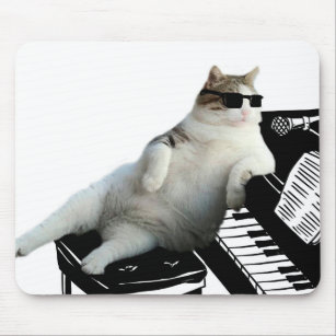 Tapis De Souris Humour Musicien Zazzle Tapis De Souris Humour Musicien Zazzle