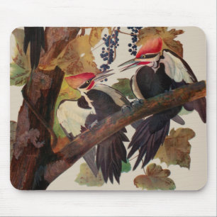 Tapis De Souris Pic épeiche de Audubon, peinture de faune aviaire