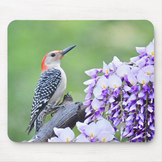Tapis De Souris Pic-Pic Mousepad (Devant)