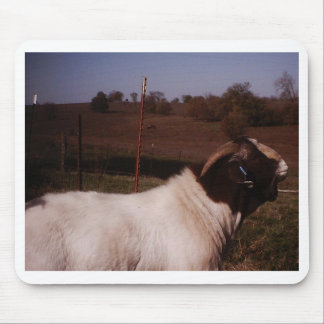 Tapis De Souris pictures024