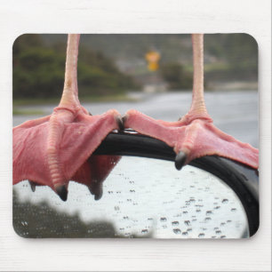 Tapis De Souris Pieds de mouette