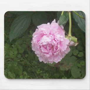 Tapis De Souris Pies roses