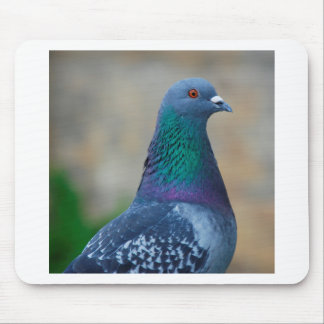 Tapis De Souris Pigeon
