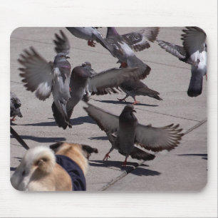Tapis De Souris Pigeon