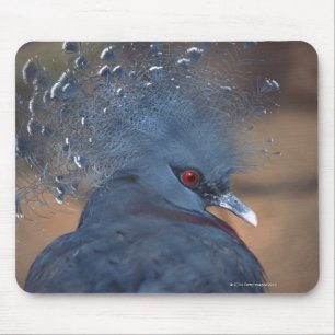 Tapis De Souris pigeon couronné