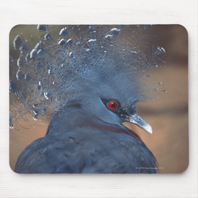 Tapis De Souris pigeon couronné (Devant)