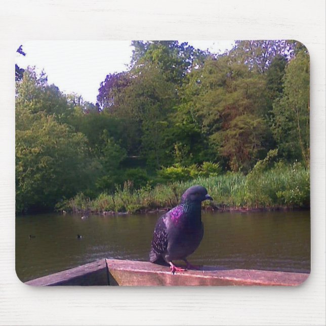 Tapis De Souris Pigeon curieux (Devant)