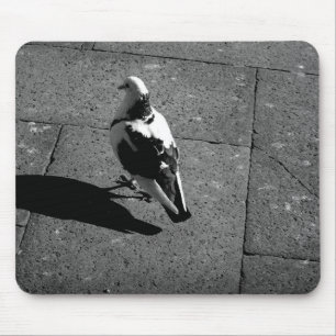 Tapis De Souris Pigeon Mousepad